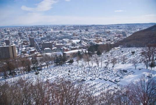 东区(日本北海道札幌市东区)