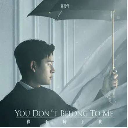 你不属于我（周兴哲演唱歌曲）