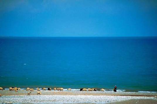 青海湖(中国最大的内陆咸水湖)