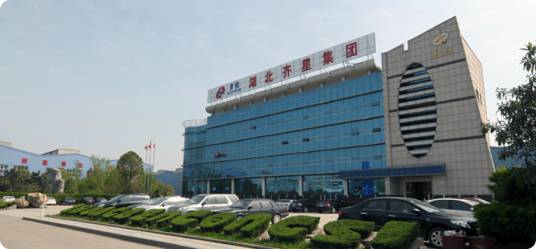 湖北卓越集团公司