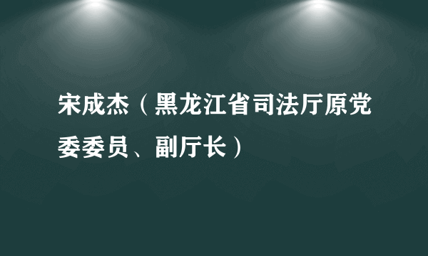 宋成杰（黑龙江省司法厅原党委委员、副厅长）