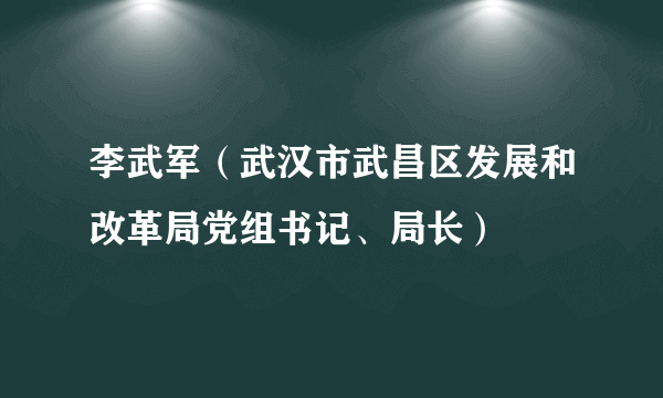 李武军（武汉市武昌区发展和改革局党组书记、局长）