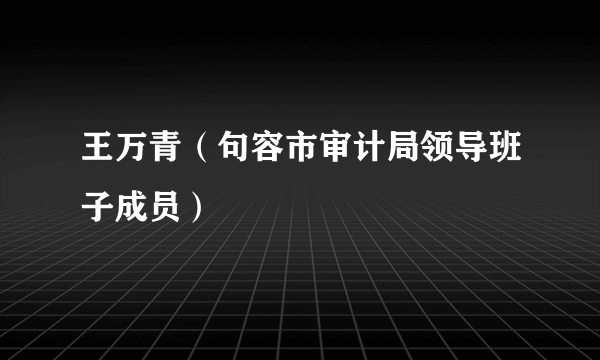 王万青（句容市审计局领导班子成员）