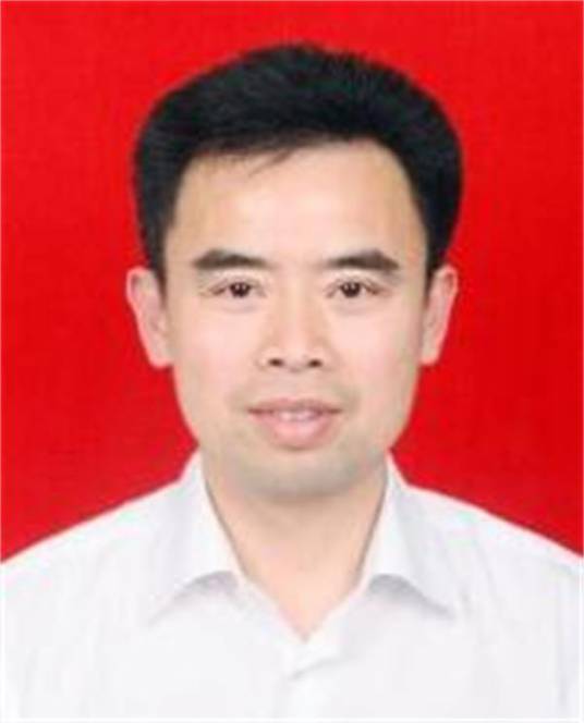 张凯（湖南省长沙市科技局二级调研员）