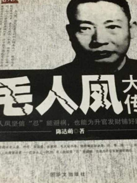 毛人凤大传（2010年华文出版社出版的图书）