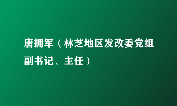 唐拥军（林芝地区发改委党组副书记、主任）