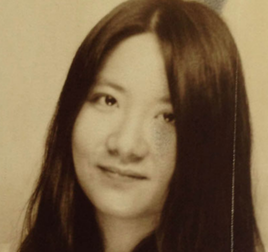 张文心（合肥籍艺术家）