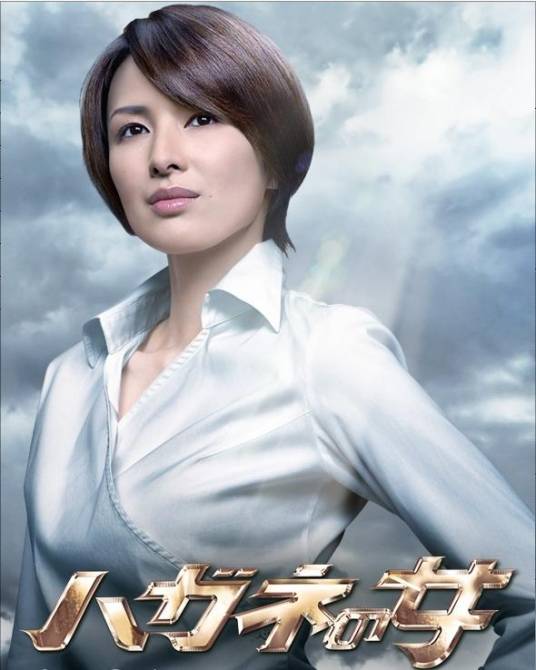 钢之女(日本2010年唐木希浩、常广丈太执导的电视剧)