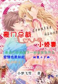 豪门总裁小娇妻