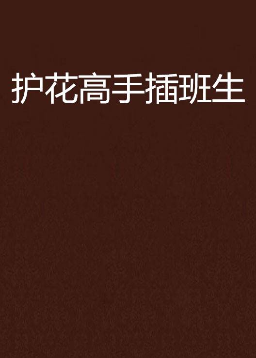 护花高手插班生