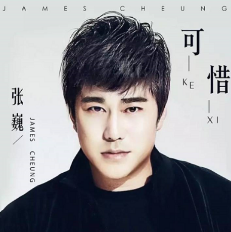 可惜（张巍原唱歌曲）