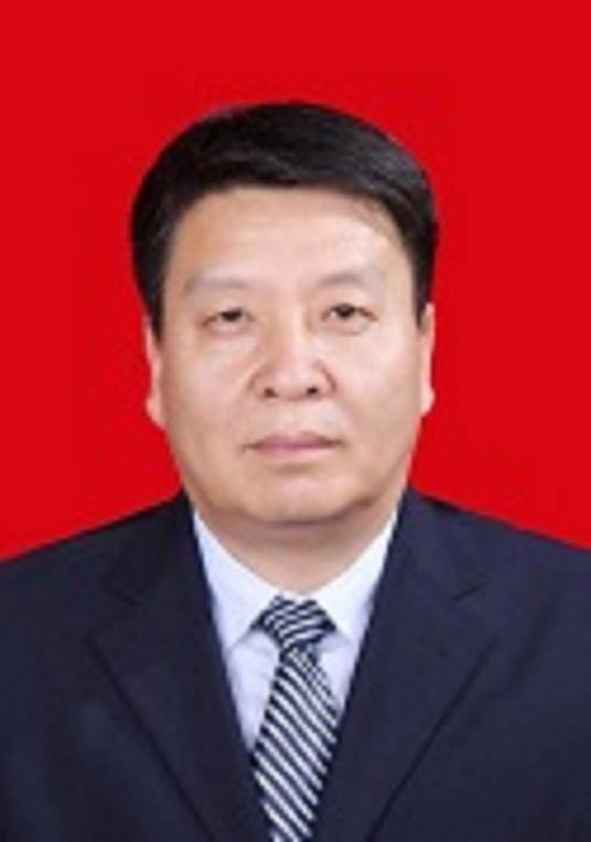 王金明（陕西省铜川市审计局总审计师）