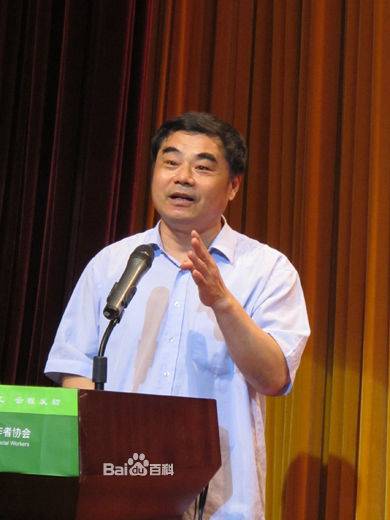 王思斌（北京大学社会学系教授）