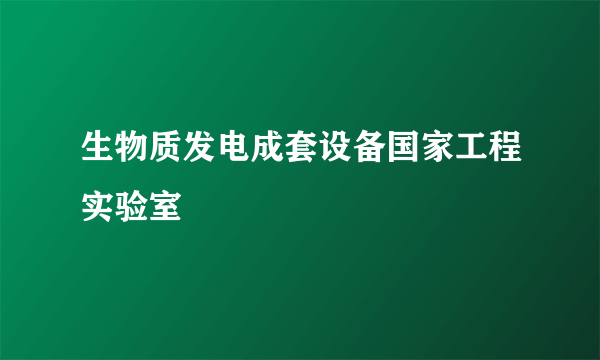 生物质发电成套设备国家工程实验室