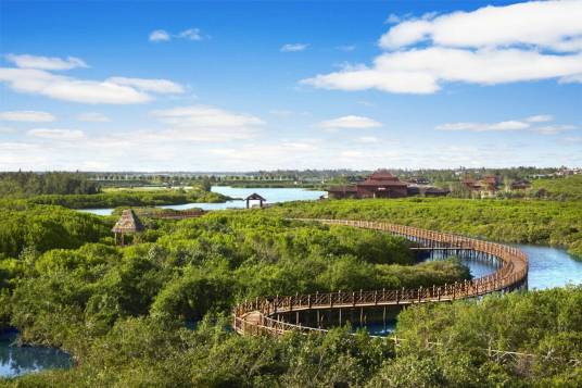 海南红树林湿地保护公园