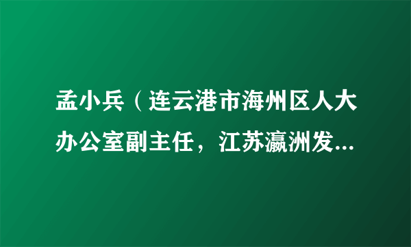 孟小兵（连云港市海州区人大办公室副主任，江苏瀛洲发展集团有限公司党委副书记、副董事长）