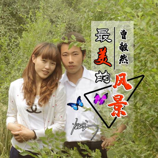 最美的风景（曾毅然演唱的歌曲）