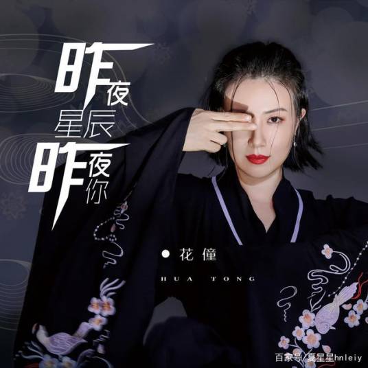 昨夜星辰昨夜你（花僮演唱歌曲）