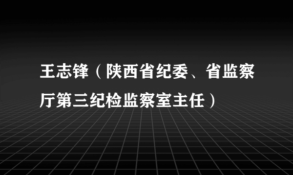 王志锋(陕西省纪委、省监察厅第三纪检监察室主任)