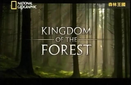 森林王国