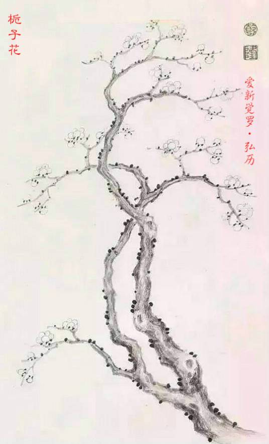 栀子花（清朝乾隆皇帝诗作）