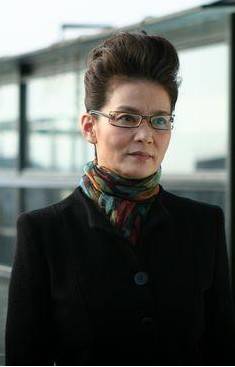 陈卫红(电视剧《新上门女婿》中人物)