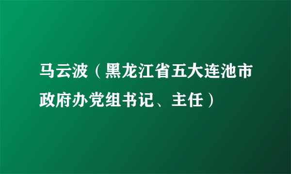 马云波（黑龙江省五大连池市政府办党组书记、主任）