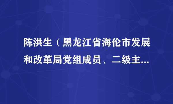 陈洪生(黑龙江省海伦市发展和改革局党组成员、二级主任科员)