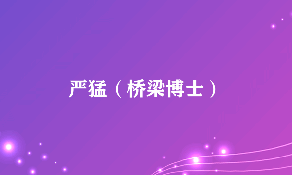 严猛（桥梁博士）
