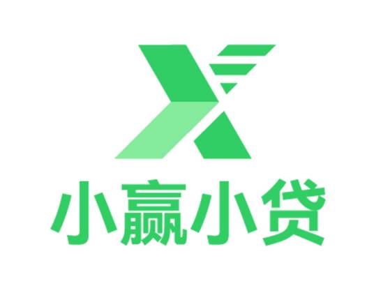 深圳市小赢小额贷款有限责任公司