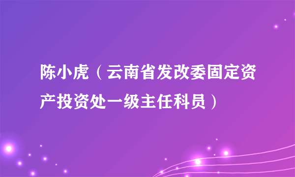 陈小虎（云南省发改委固定资产投资处一级主任科员）