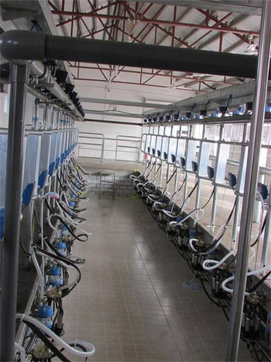 河北坤元饲料有限公司