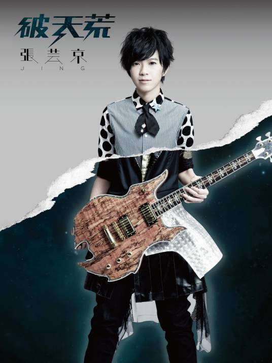 偏爱（张芸京演唱歌曲）