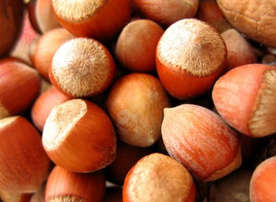 三块石大果榛子