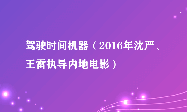 驾驶时间机器（2016年沈严、王雷执导内地电影）