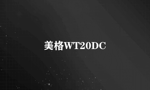 美格WT20DC