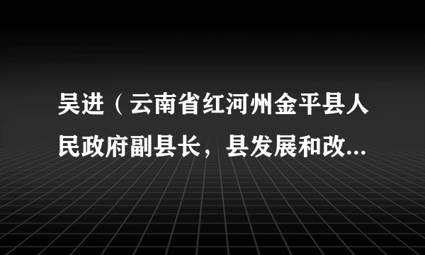吴进（云南省红河州金平县人民政府副县长，县发展和改革局党组成员、书记、局长）