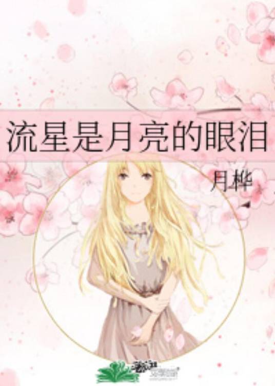 流星是月亮的眼泪