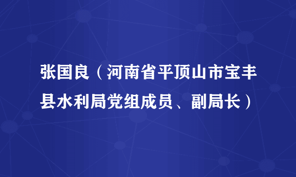 张国良（河南省平顶山市宝丰县水利局党组成员、副局长）
