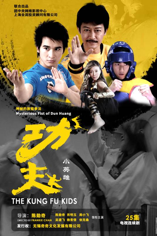 功夫之王(2008年陈勋奇执导电视剧)