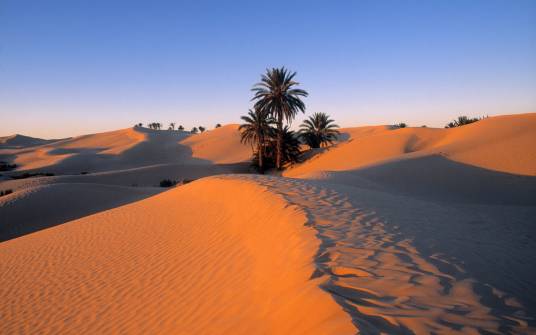 撒哈拉沙漠(世界面积最大的沙漠)