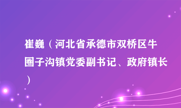 崔巍(河北省承德市双桥区牛圈子沟镇党委副书记、政府镇长)