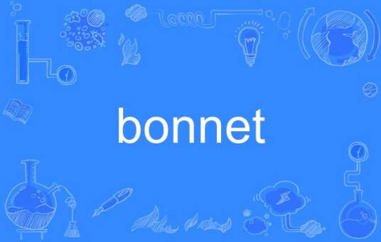 bonnet