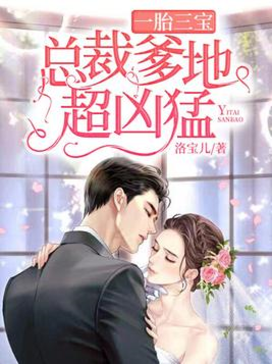 一胎三宝：总裁爹地超凶猛（洛宝儿所著小说）