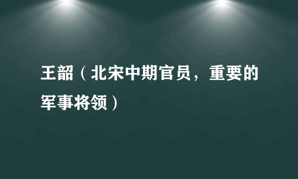 王韶（北宋中期官员，重要的军事将领）