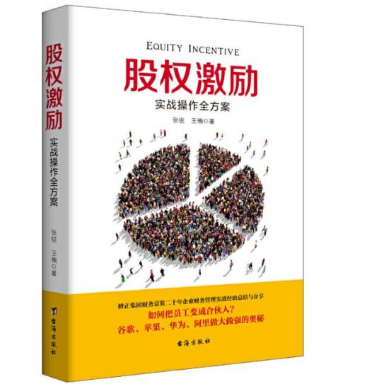 股权激励(2017年台海出版社出版的图书)