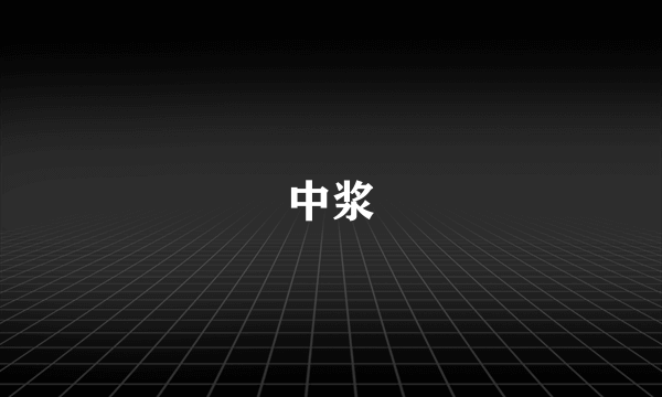 中浆