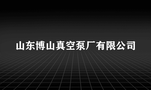 山东博山真空泵厂有限公司