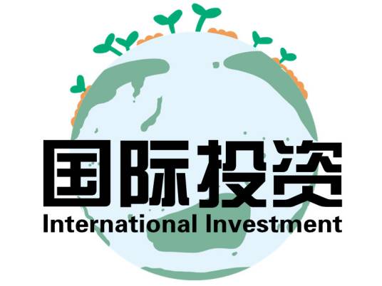 国际投资(经济行为)