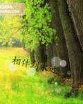 相伴到永远（《相伴到永远》懒羊羊写的小说）